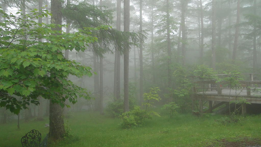 ノマの森 Nomanomori B&B Chino Dış mekan fotoğraf